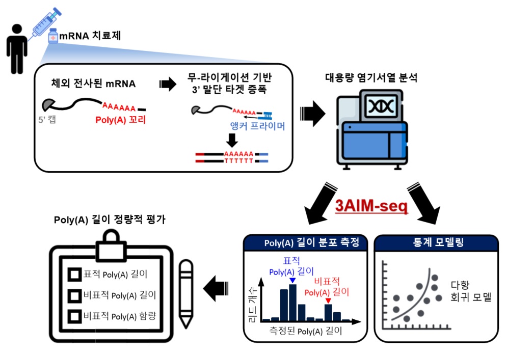 박대찬교수님연구